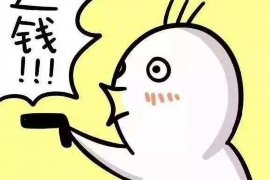 上思债务清欠服务